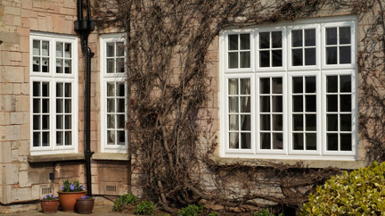 Cottage Windows, available from Anglian Home Improvements