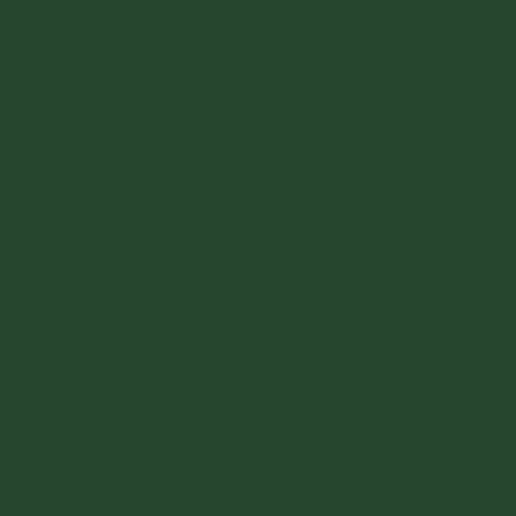 Fir Green RAL6009